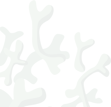 Specialized Infectious Disease & Wellness Care in Colorado