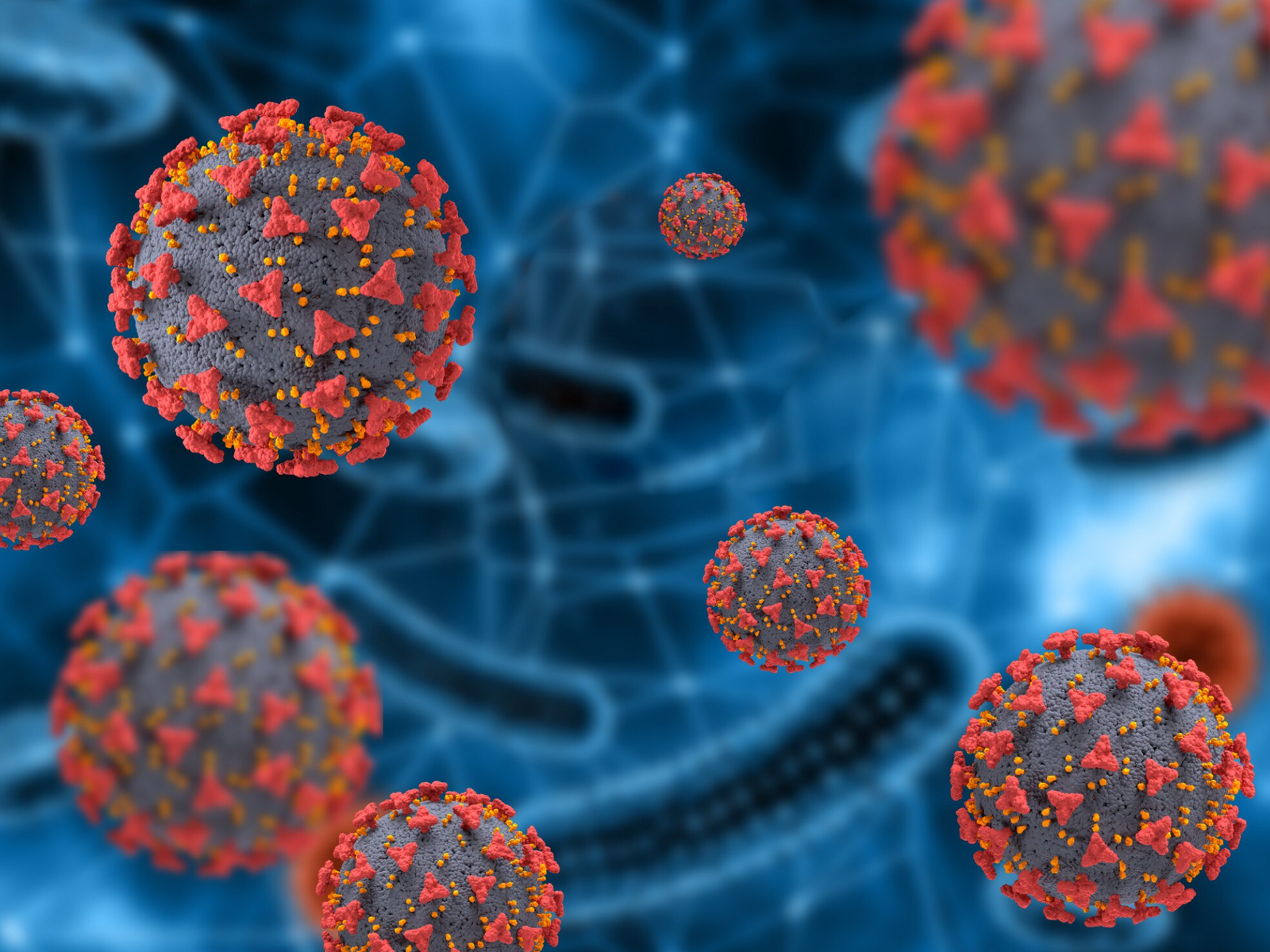 Infectious Disease Services