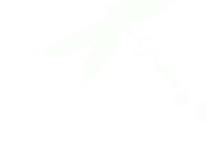 How We Treat Tick-Borne & Zoonotic Infections