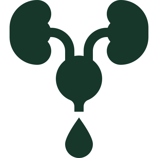 Frequent urge to urinate, even with little output